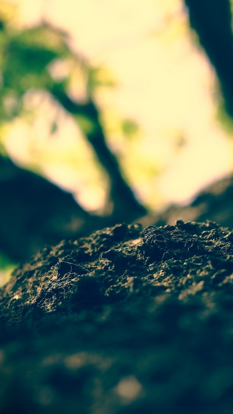 Formation Rocheuse Noire et Blanche. Wallpaper in 750x1334 Resolution