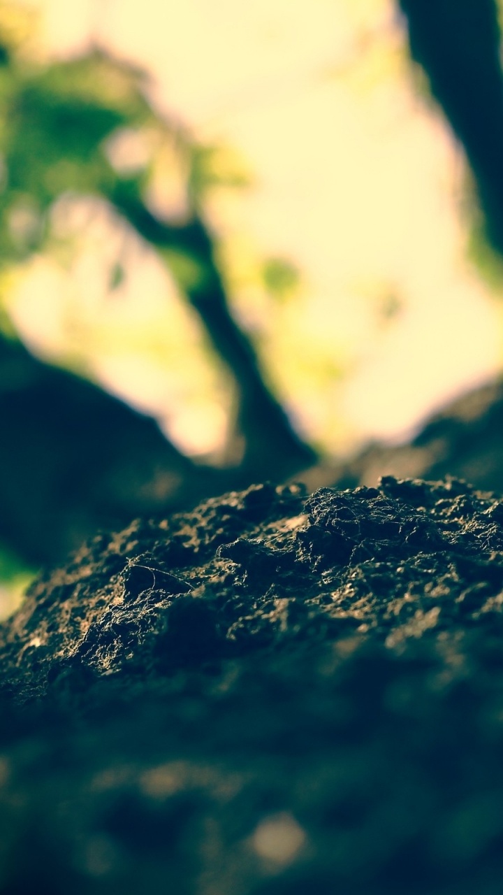 Schwarz-weiße Felsformation. Wallpaper in 720x1280 Resolution