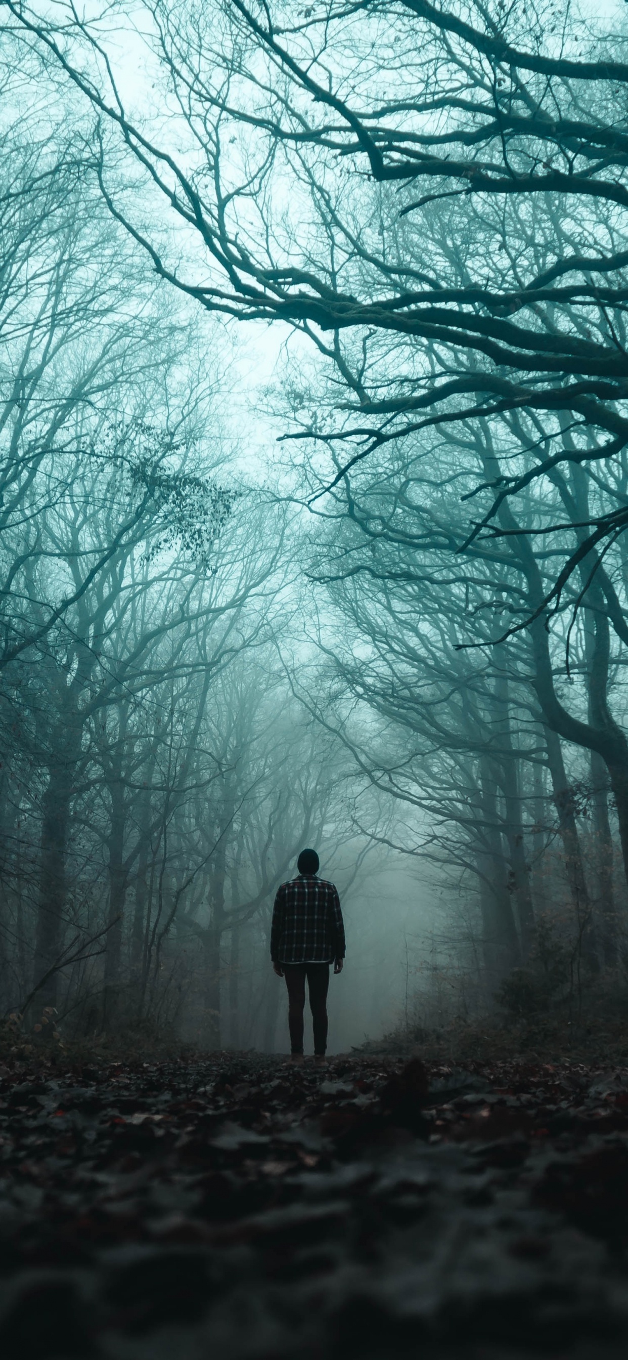 Person in Black Jacket Standing on Pathway Between Bare Trees. Wallpaper in 1242x2688 Resolution