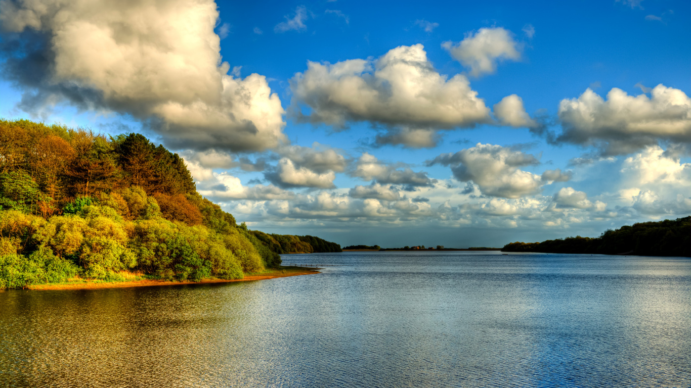 Árboles Verdes Junto al Cuerpo de Agua Bajo Las Nubes Blancas y el Cielo Azul Durante el Día. Wallpaper in 1366x768 Resolution