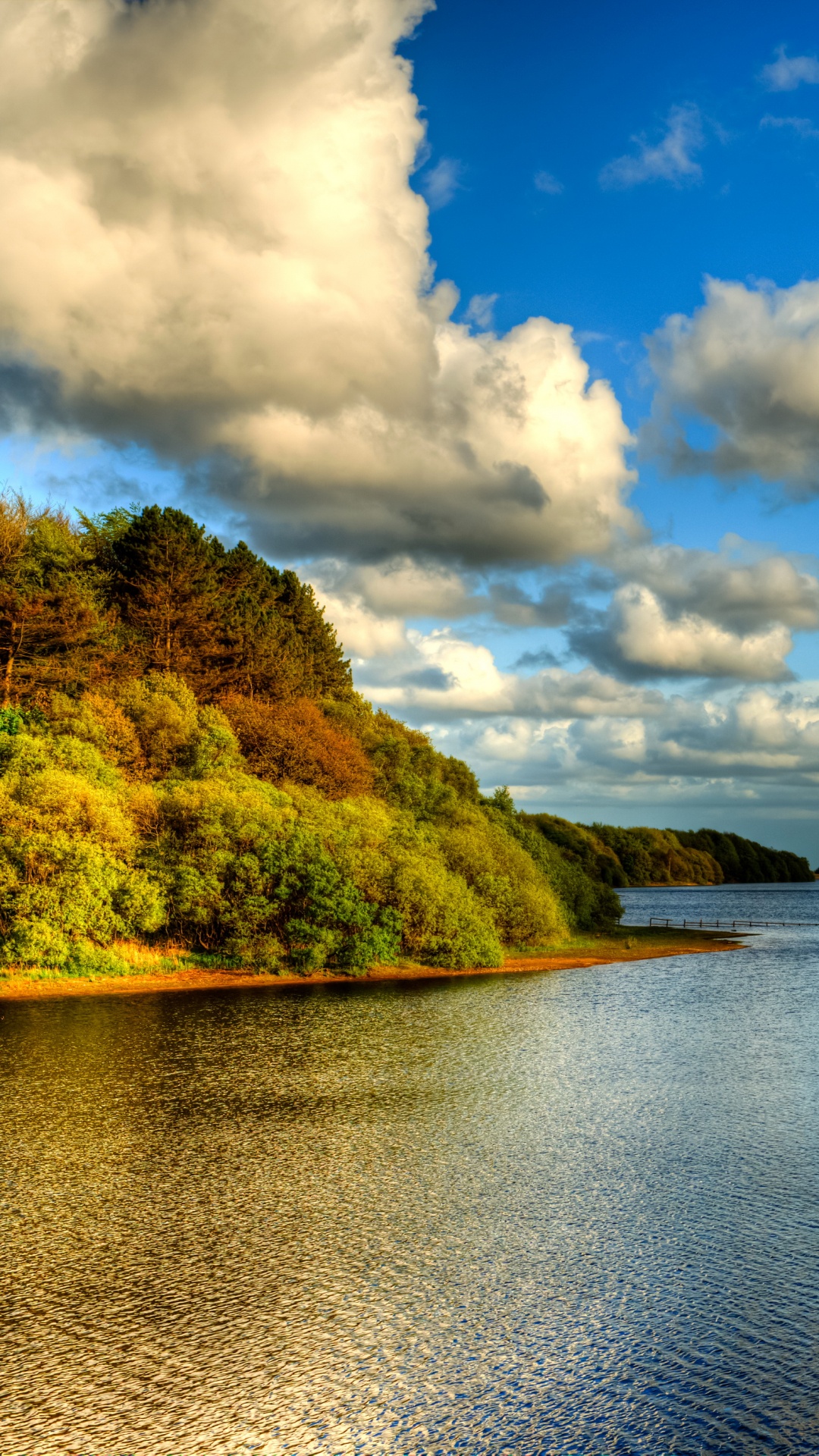 Green Trees Beside Body of Water Under White Clouds and Blue Sky During Daytime. Wallpaper in 1080x1920 Resolution