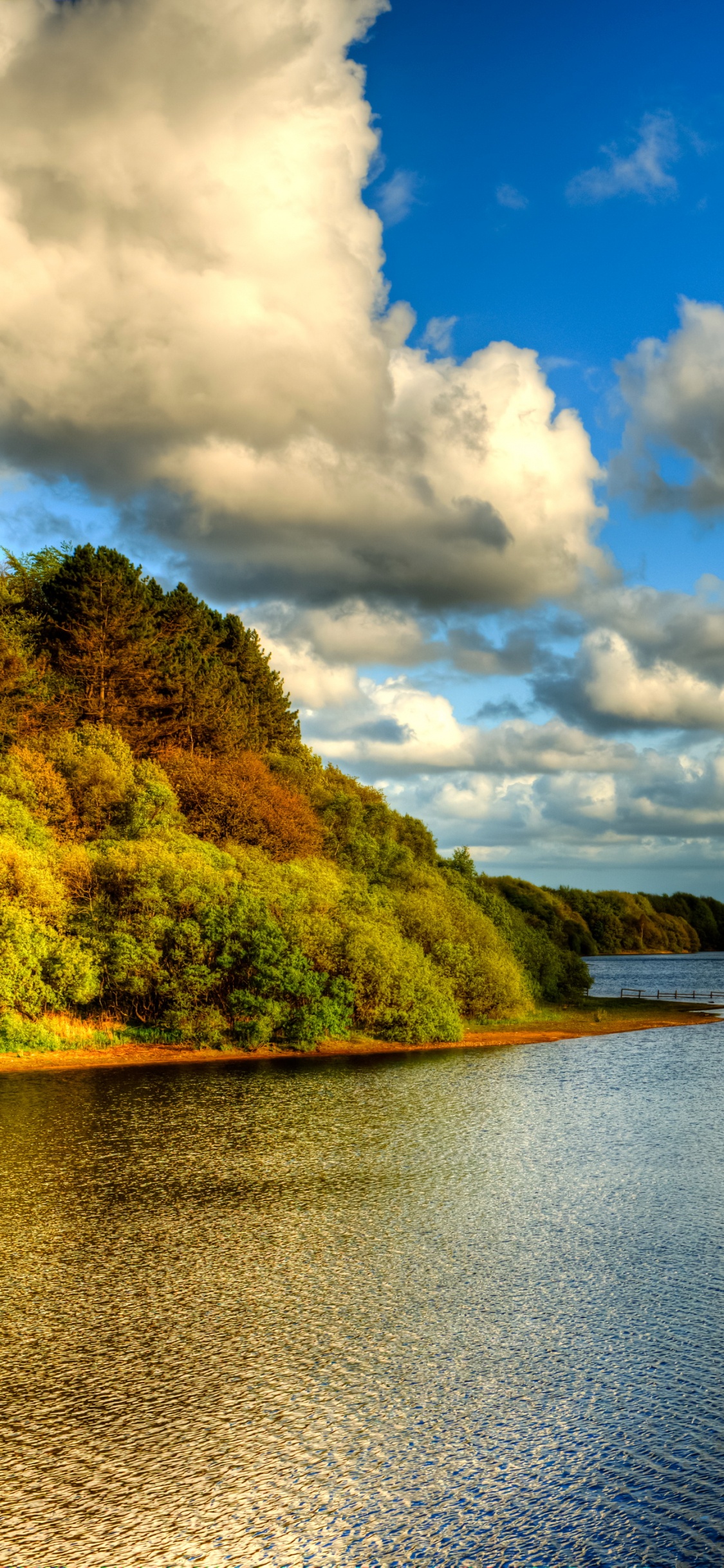 Green Trees Beside Body of Water Under White Clouds and Blue Sky During Daytime. Wallpaper in 1125x2436 Resolution