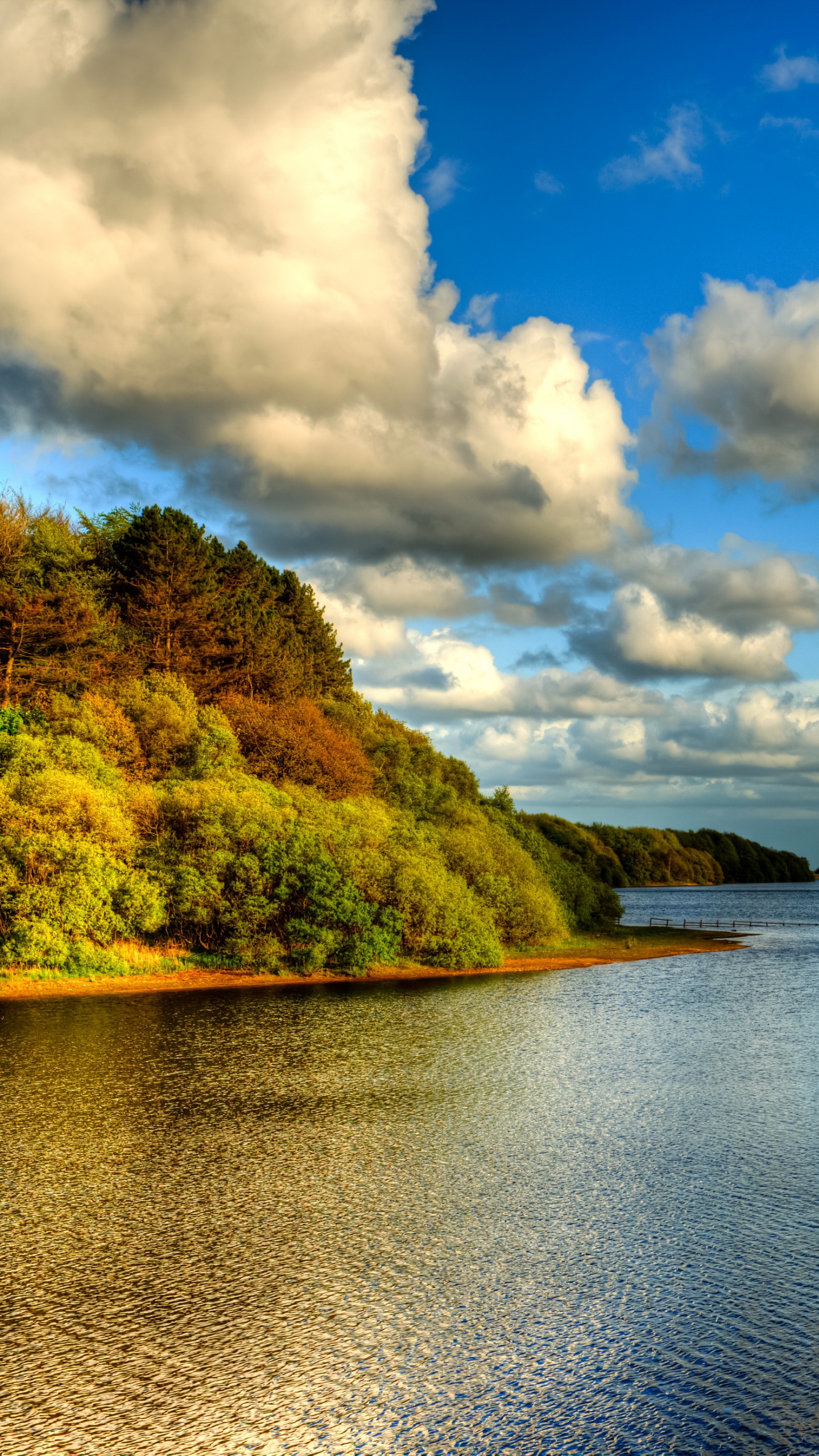 Green Trees Beside Body of Water Under White Clouds and Blue Sky During Daytime. Wallpaper in 1440x2560 Resolution