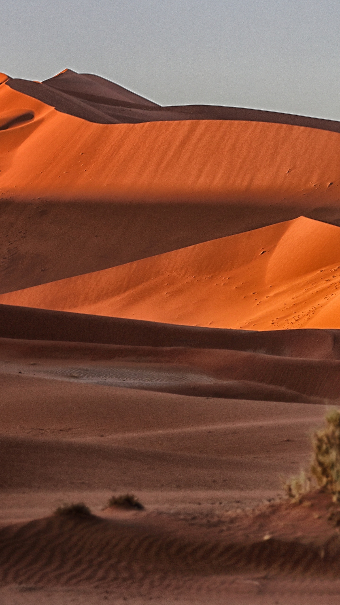 Erg, Dune, Barchan, Desserts, Singing Sand. Wallpaper in 1440x2560 Resolution