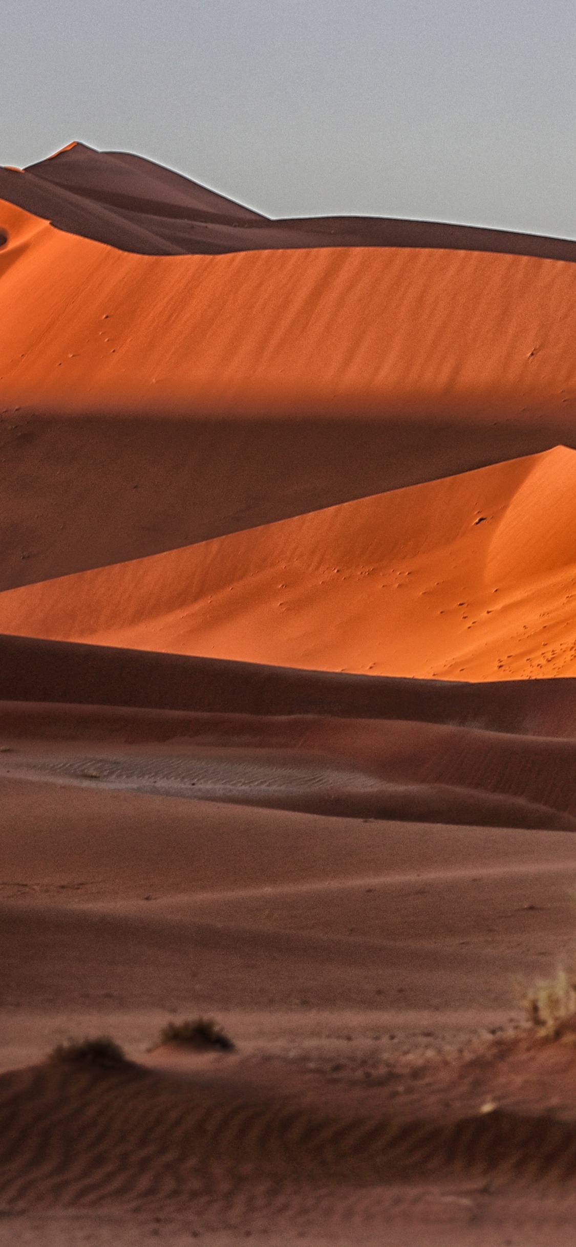 ERG, Dune, Barchan, Les Desserts, le Chant de Sable. Wallpaper in 1125x2436 Resolution
