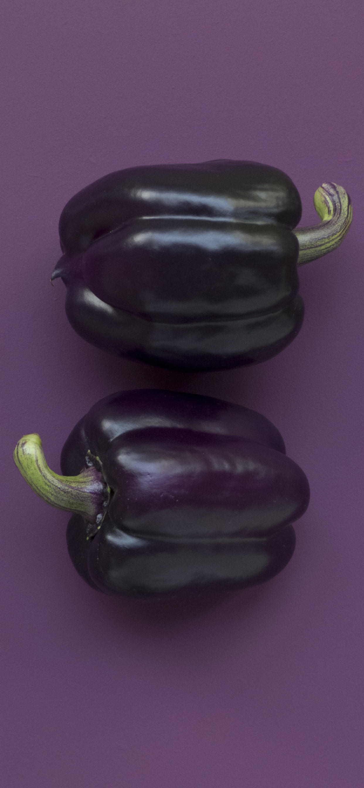 Black Bell Pepper on Purple Textile. Wallpaper in 1242x2688 Resolution