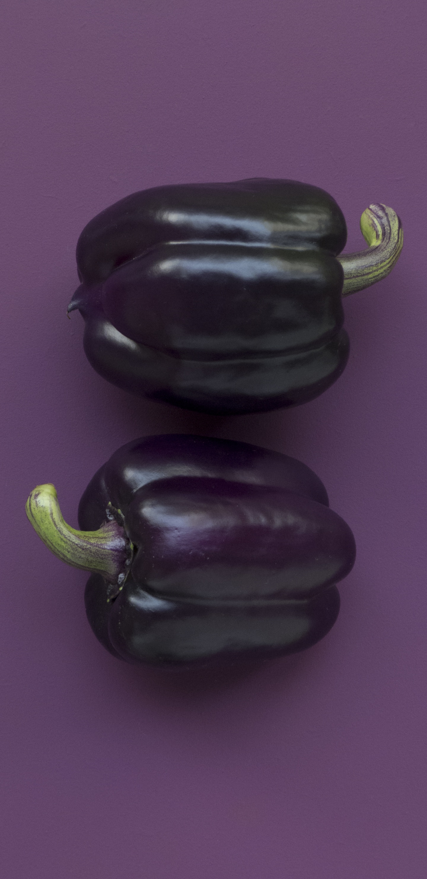 Black Bell Pepper on Purple Textile. Wallpaper in 1440x2960 Resolution
