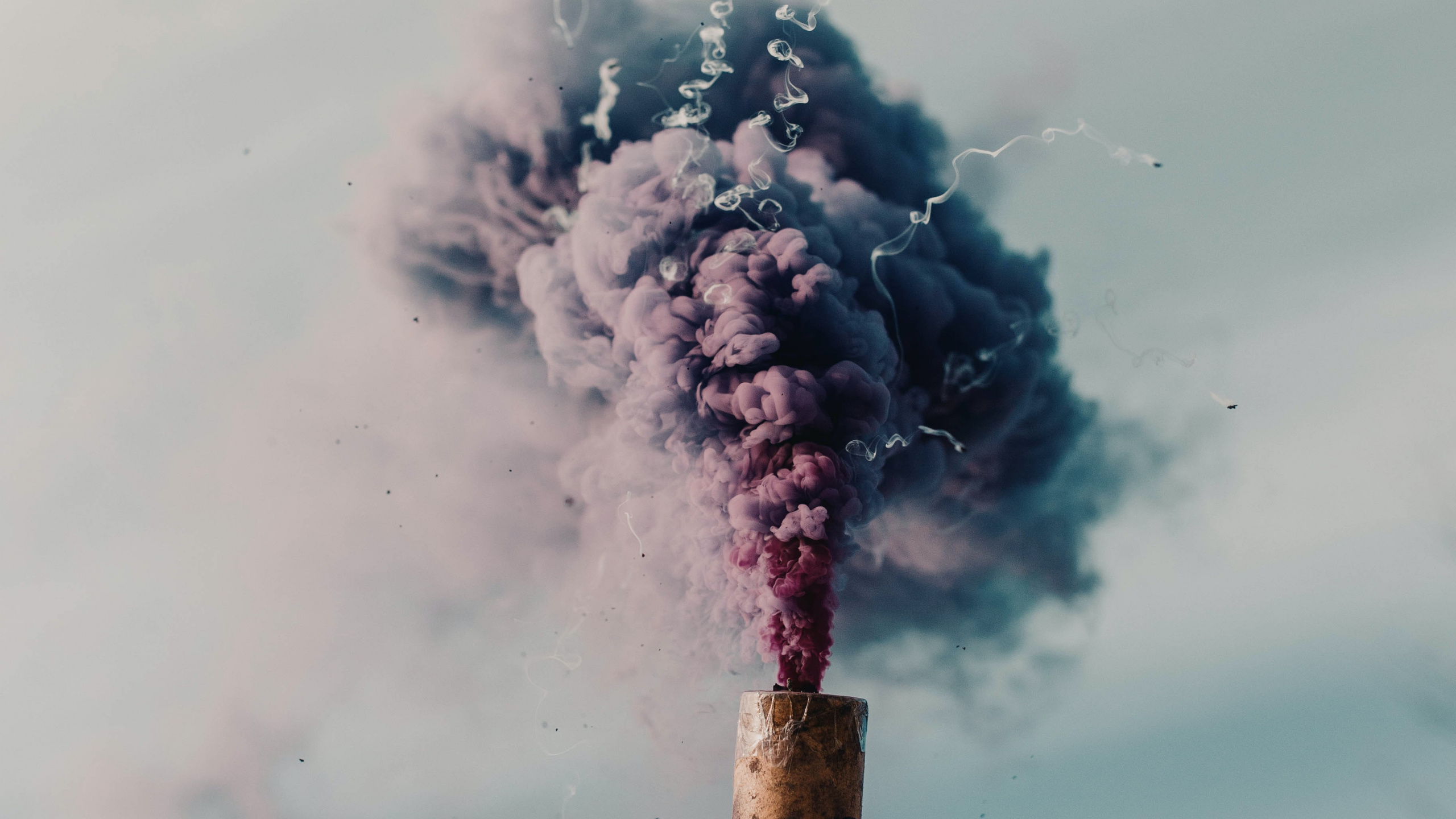 Esthétique Fumigène, Bombe Fumigène, Fumeur, Les Gens Dans la Nature, Geste. Wallpaper in 2560x1440 Resolution