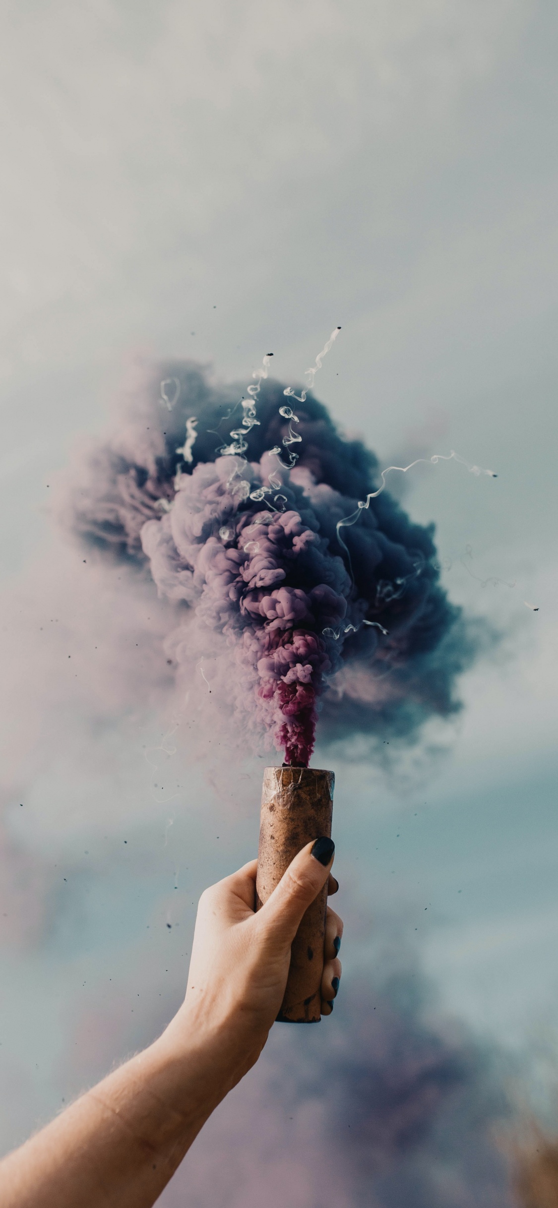 Smokebomb Aesthetic, Smoke Bomb, Smoke, Cloud, Plant. Wallpaper in 1125x2436 Resolution