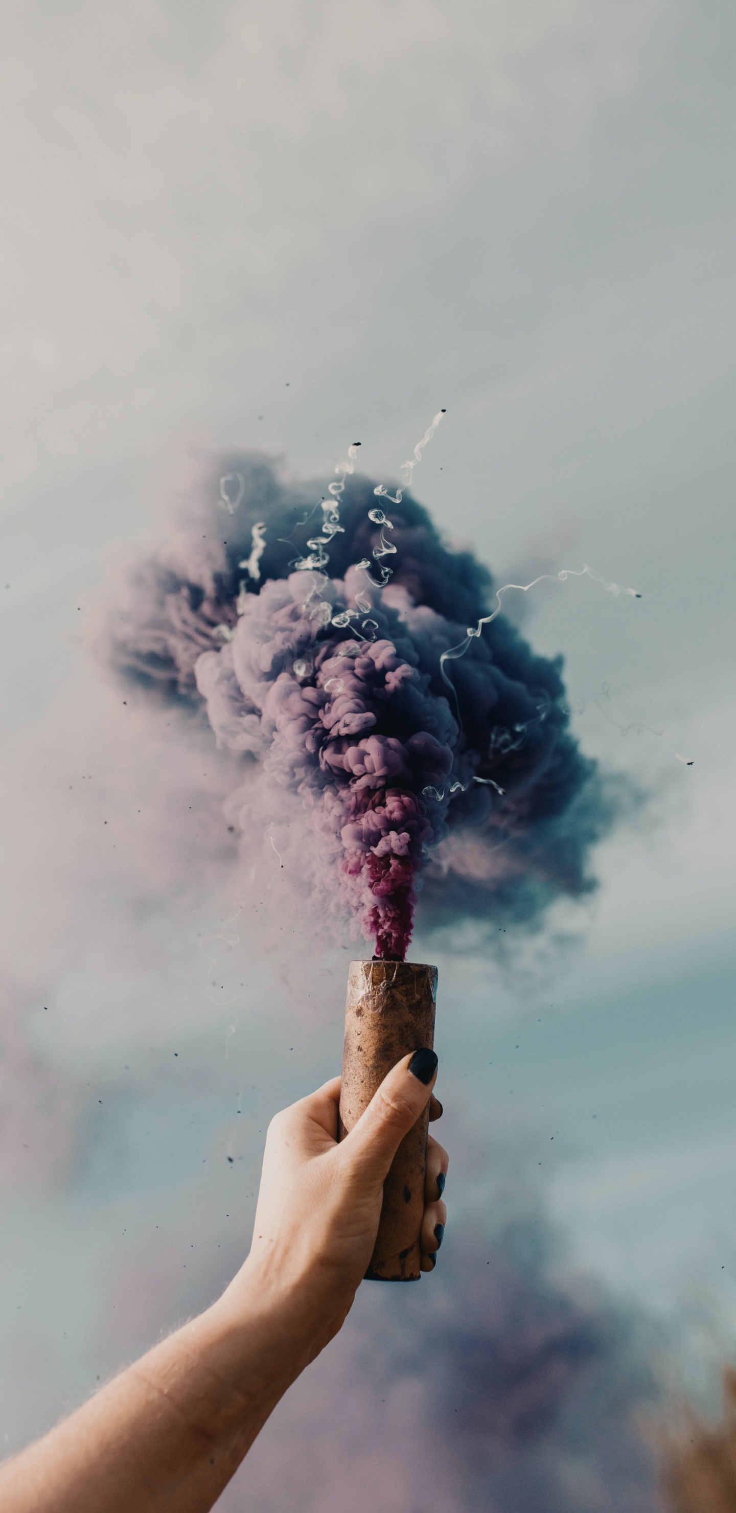 Smokebomb Aesthetic, Smoke Bomb, Smoke, Cloud, Plant. Wallpaper in 1440x2960 Resolution