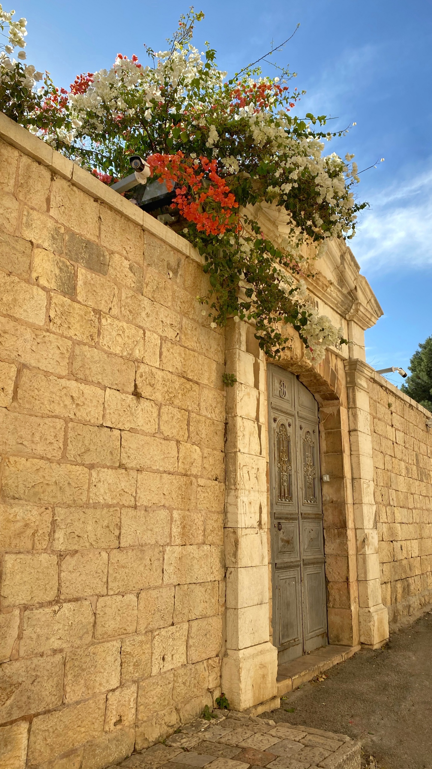 Wall, Real Estate, Stone Wall, Property, Road Surface. Wallpaper in 1440x2560 Resolution