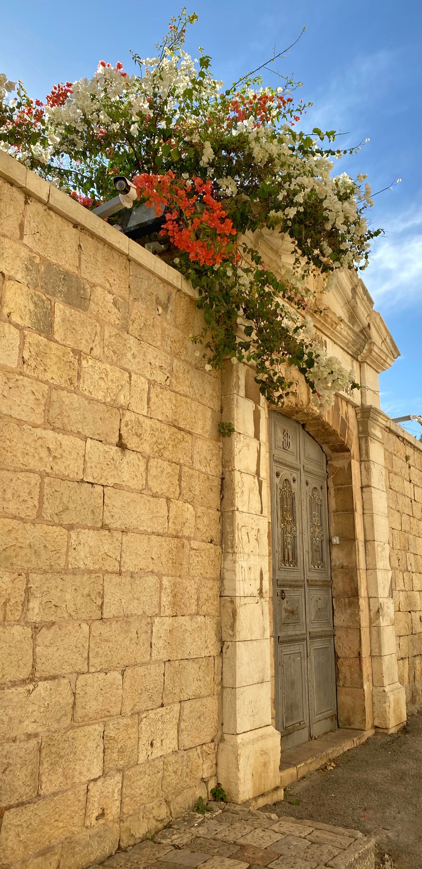 Wall, Real Estate, Stone Wall, Property, Road Surface. Wallpaper in 1440x2960 Resolution