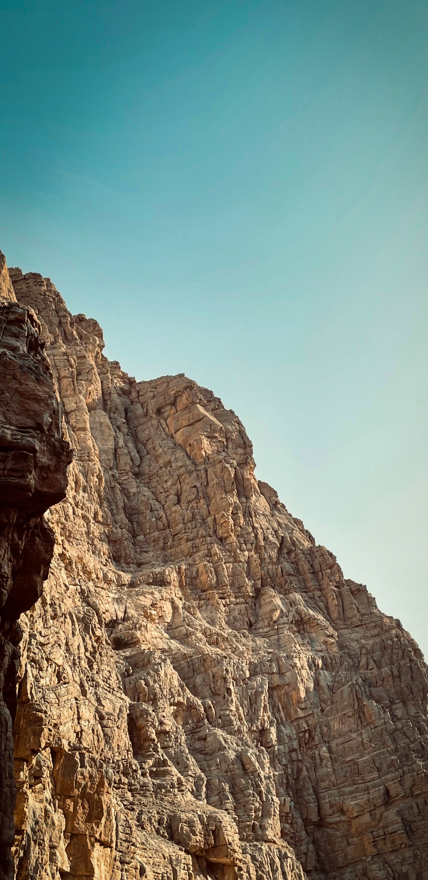 Redmi Nota 9, Xiaomi Redmi 9t, Redmi Note 8 Pro, Smartphone, Xiaomi. Wallpaper in 1440x2960 Resolution