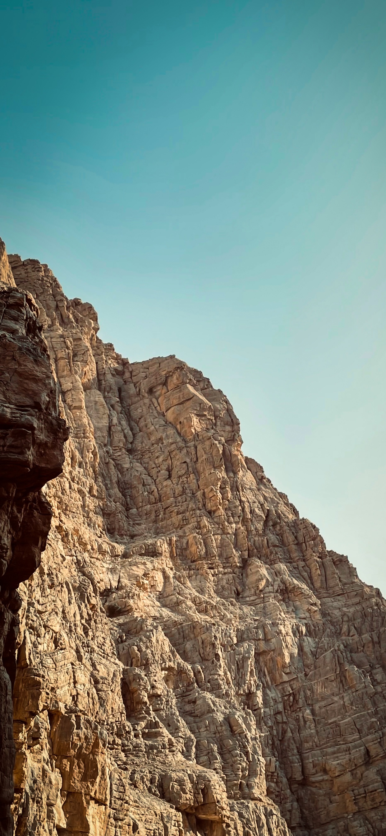 Redmi Note 9, Xiaomi Redmi 9t, Redmi Note 8 Pro, Smartphone, Xiaomi. Wallpaper in 1242x2688 Resolution