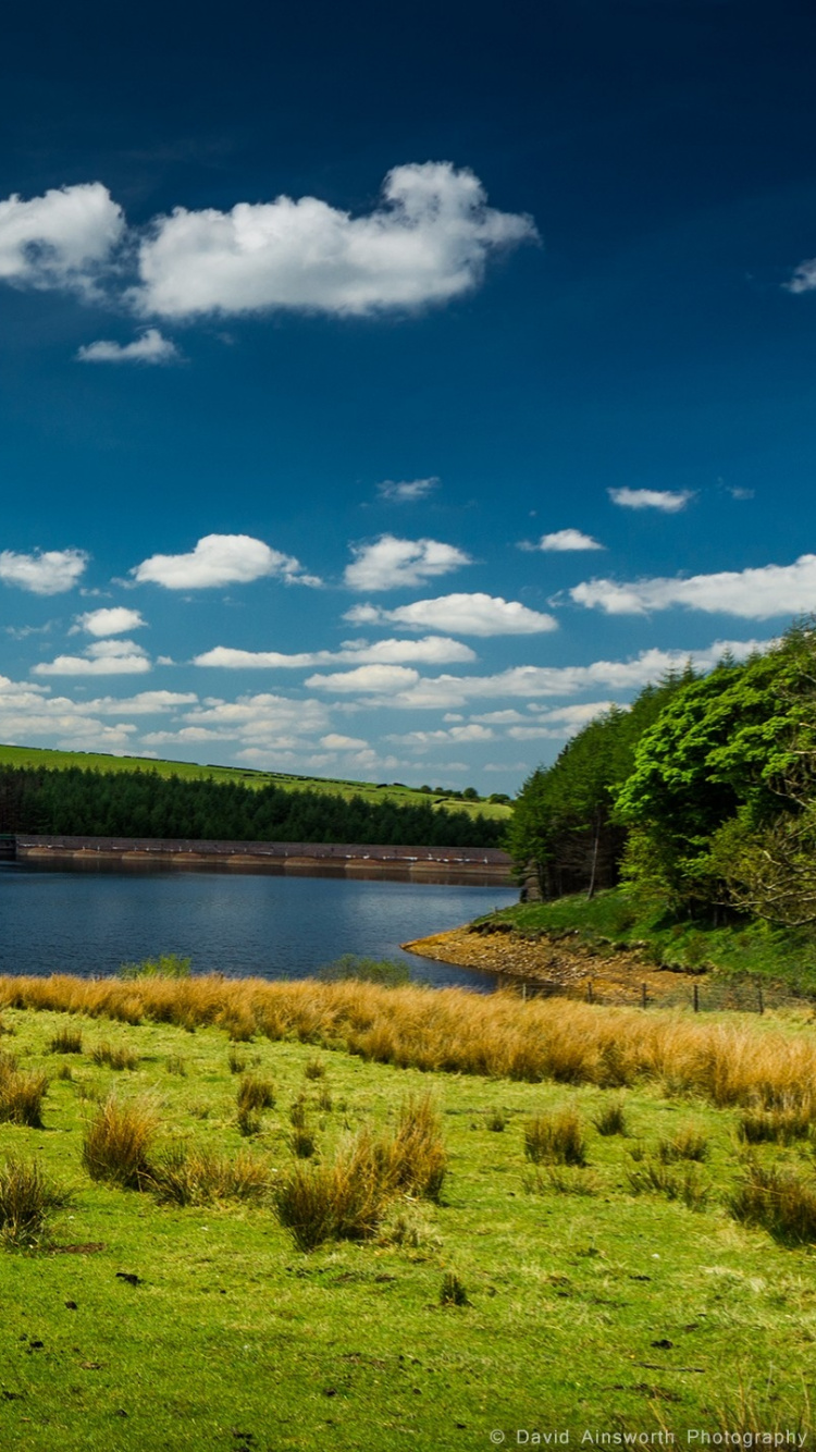Green Grass Field Near Lake Under Blue Sky During Daytime. Wallpaper in 750x1334 Resolution