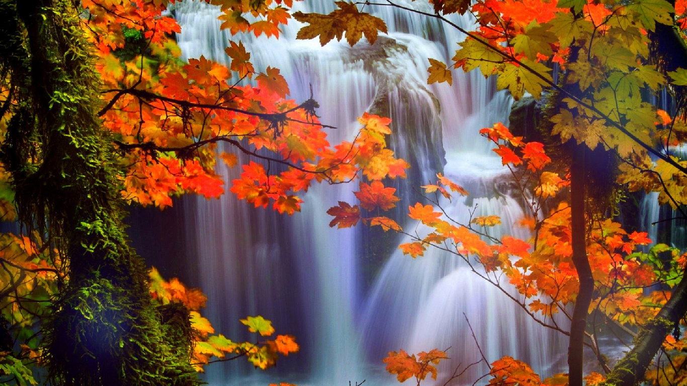Brown Leaves on Tree Branch Near Water Falls. Wallpaper in 1366x768 Resolution
