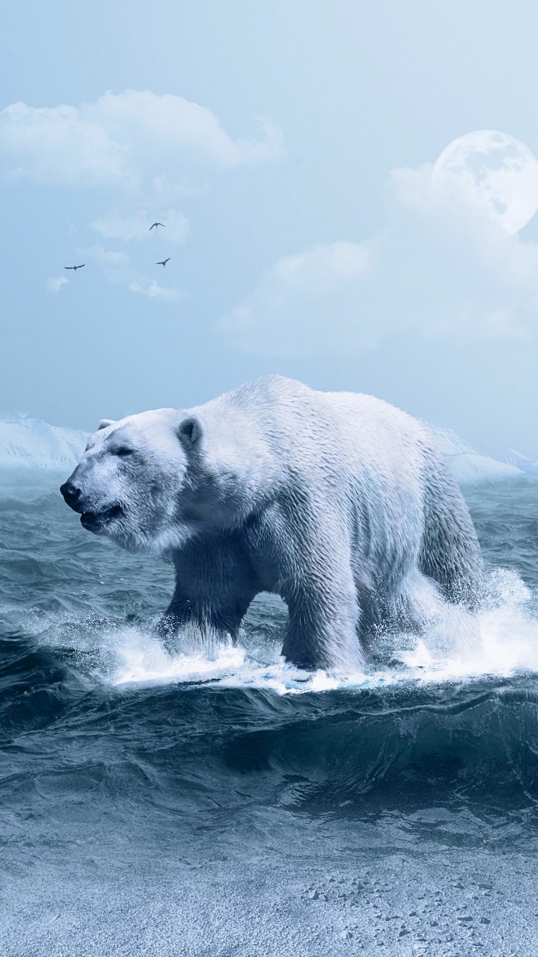 Eisbär Auf Dem Wasser. Wallpaper in 1080x1920 Resolution