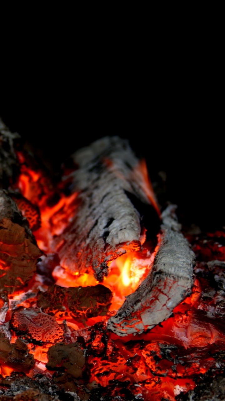 Brûler du Bois Sur un Feu de Camp. Wallpaper in 720x1280 Resolution