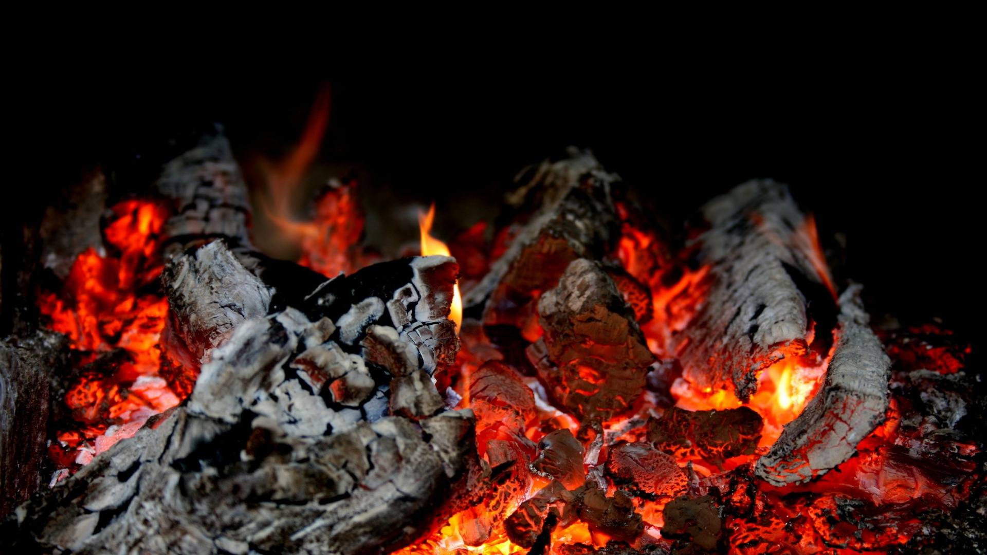 Brennendes Holz Auf Der Feuerstelle. Wallpaper in 1920x1080 Resolution