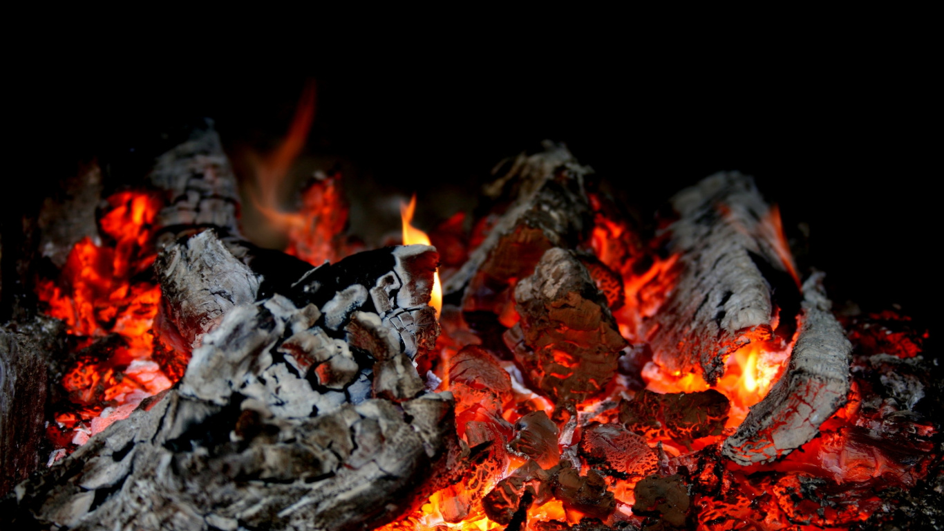 Burning Wood on Fire Pit. Wallpaper in 1366x768 Resolution