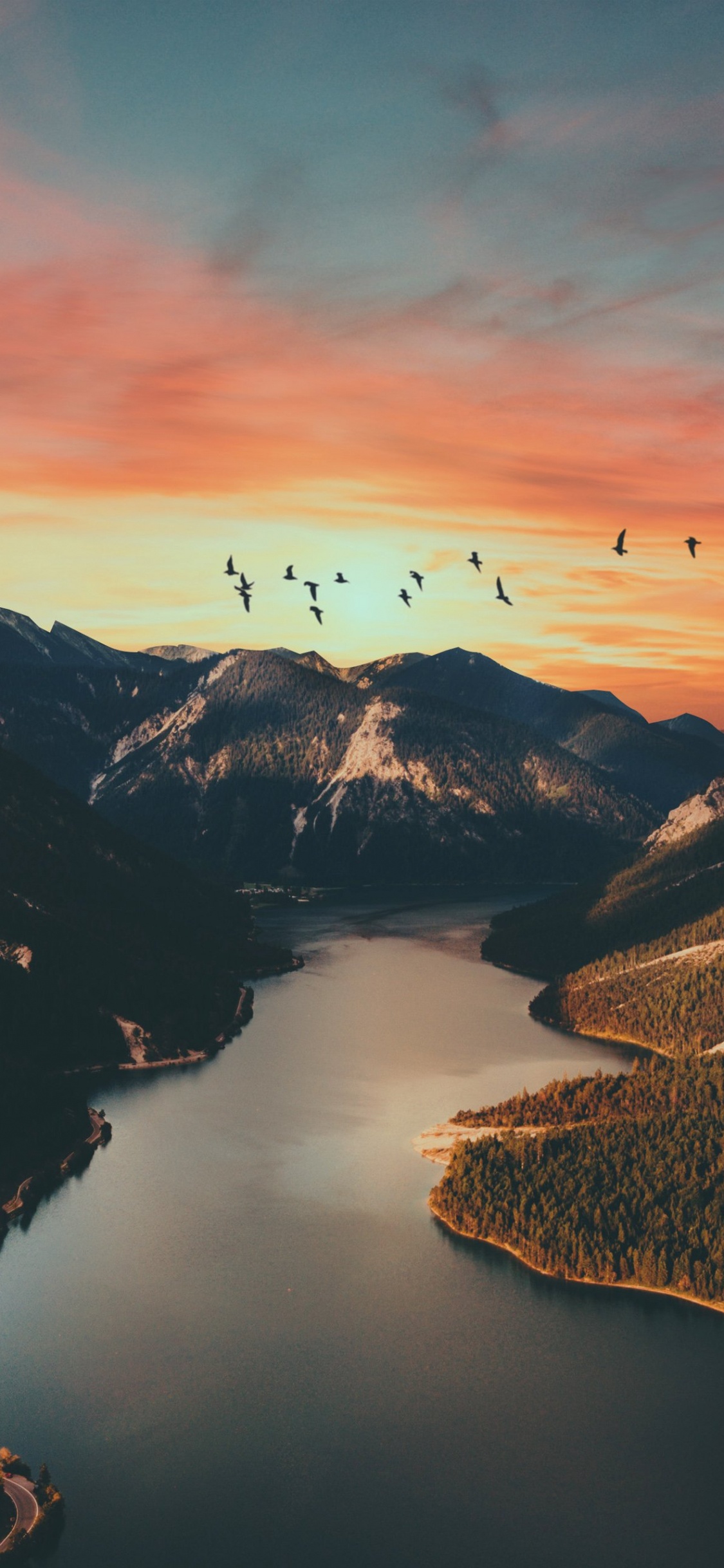 Sonnenuntergang, Cloud, Wasser, Vogel, Natur. Wallpaper in 1125x2436 Resolution