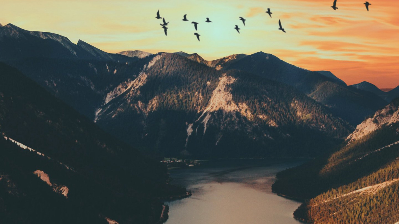 Sonnenuntergang, Cloud, Wasser, Vogel, Natur. Wallpaper in 1280x720 Resolution