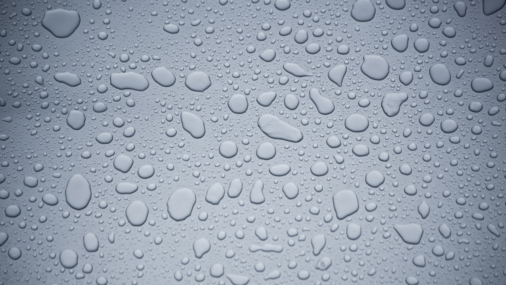 Water Droplets on Clear Glass. Wallpaper in 1920x1080 Resolution