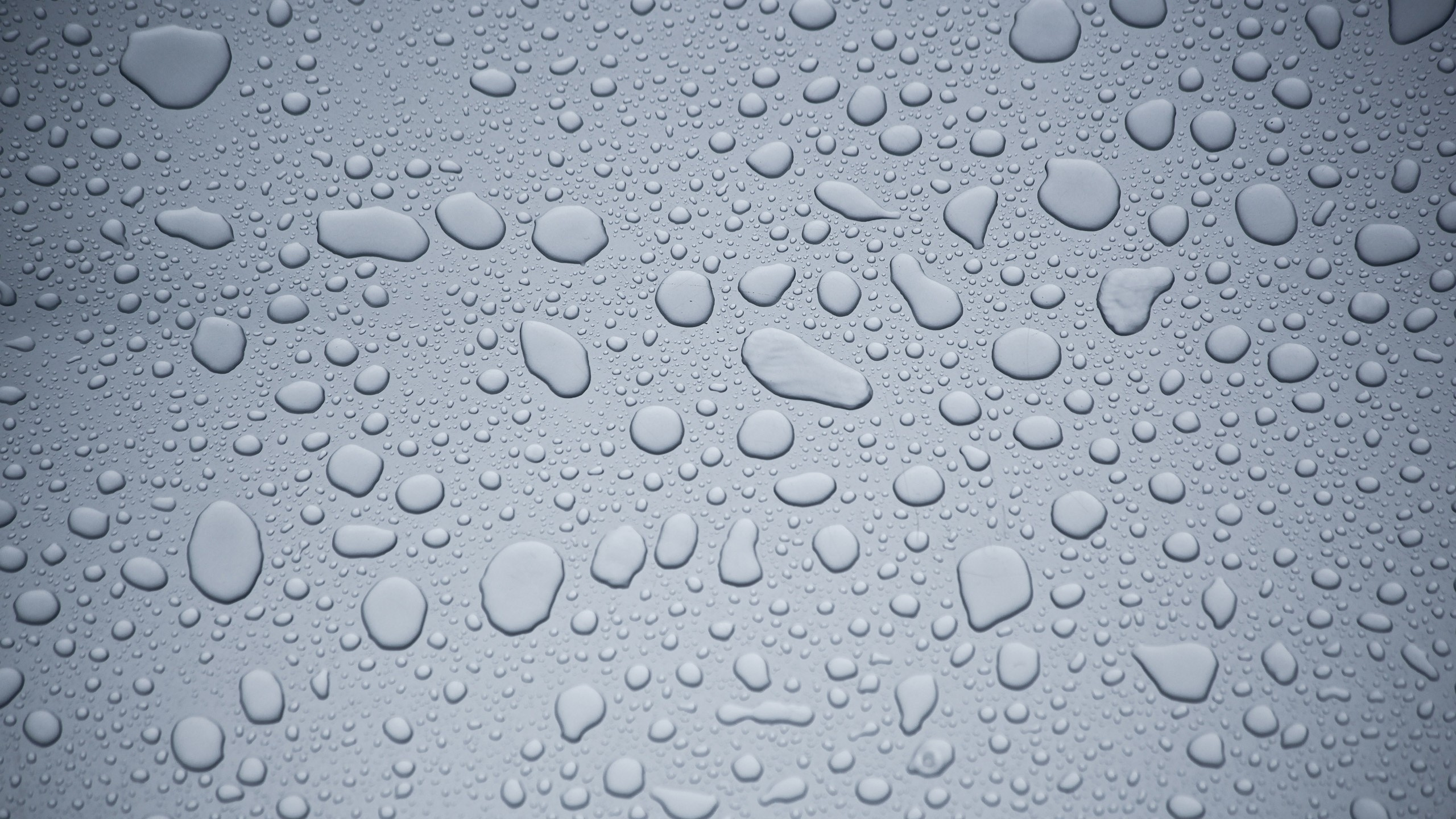 Water Droplets on Clear Glass. Wallpaper in 2560x1440 Resolution