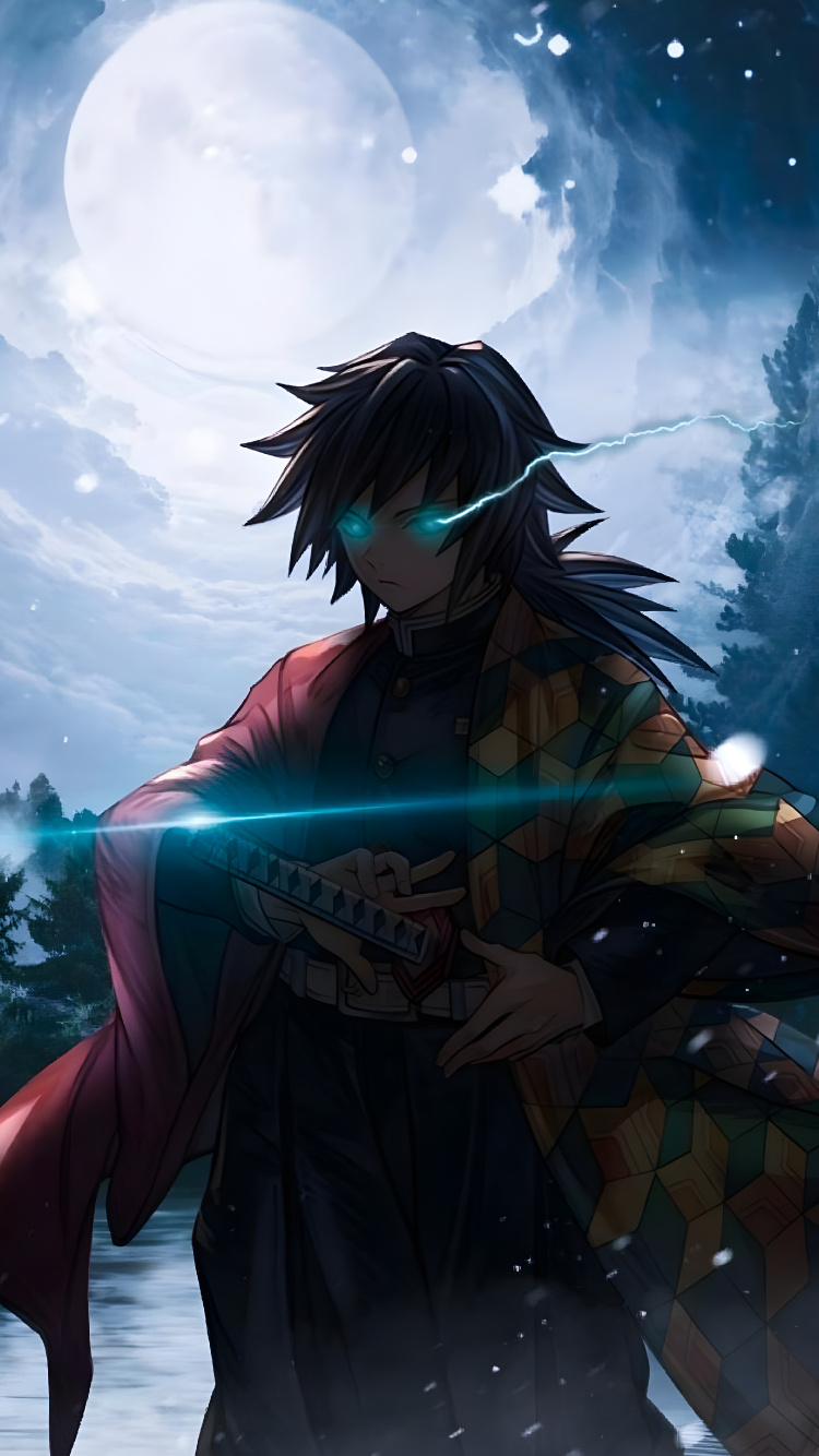 Anime, Dämonen Jäger, Giyu Tomioka, Dämonentöter Kimetsu no Yaiba, Anime-Kunst. Wallpaper in 750x1334 Resolution