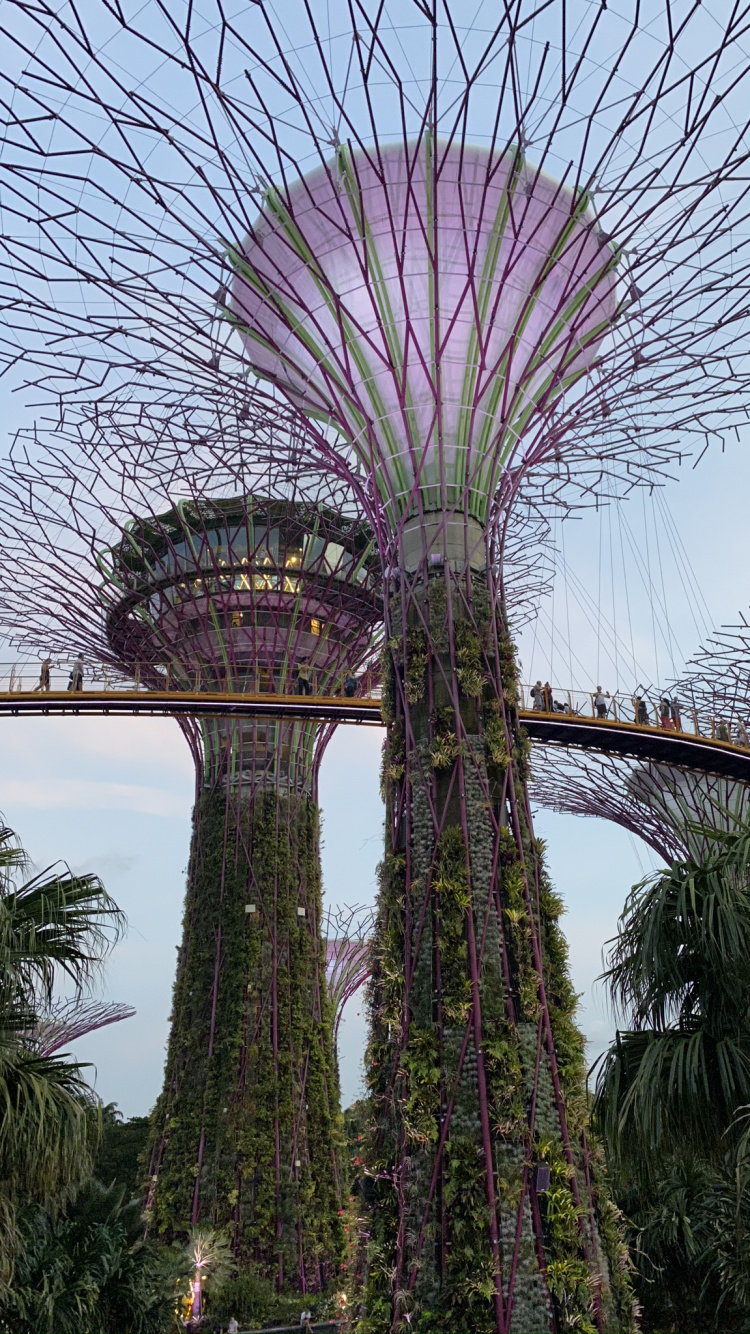 Singapur, Parque de la Ciudad Marina, Jardines en la Bahía, la Vegetación, Morado. Wallpaper in 750x1334 Resolution