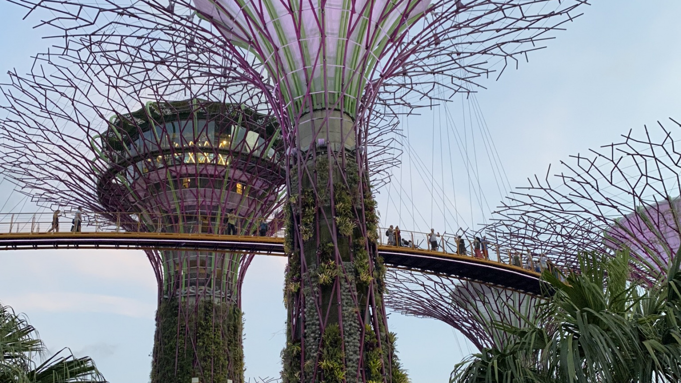 Singapur, Yachthafen Stadtpark, Gardens by The Bay, Vegetation, Purpur. Wallpaper in 1366x768 Resolution