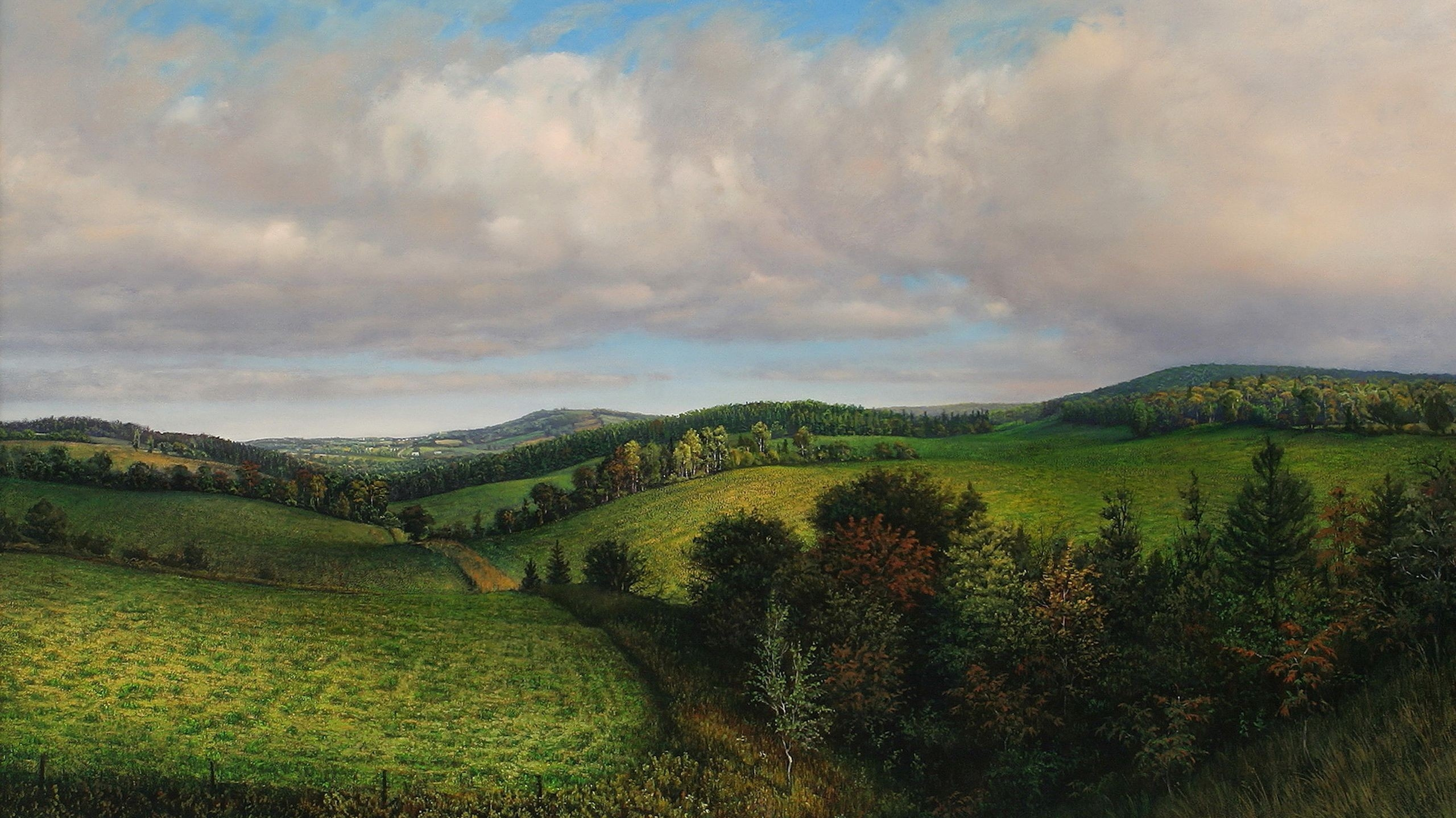 Green Grass Field Under Cloudy Sky During Daytime. Wallpaper in 2560x1440 Resolution