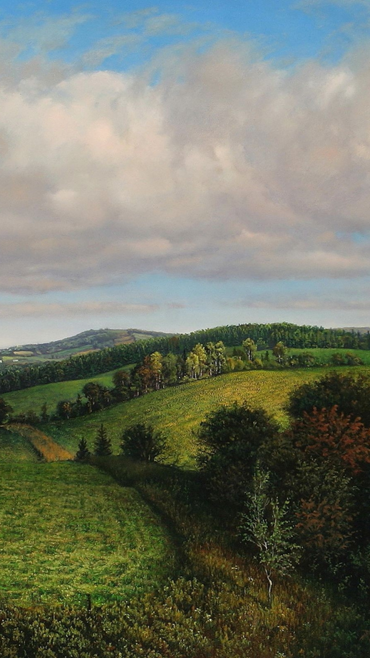 Green Grass Field Under Cloudy Sky During Daytime. Wallpaper in 750x1334 Resolution