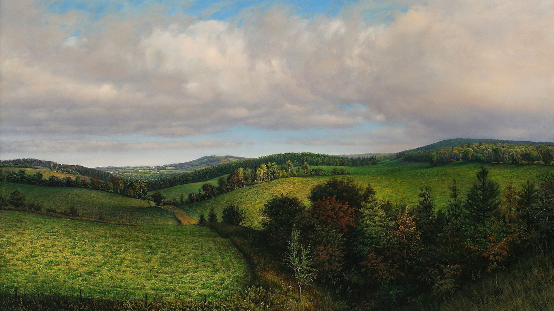 Champ D'herbe Verte Sous un Ciel Nuageux Pendant la Journée. Wallpaper in 1920x1080 Resolution