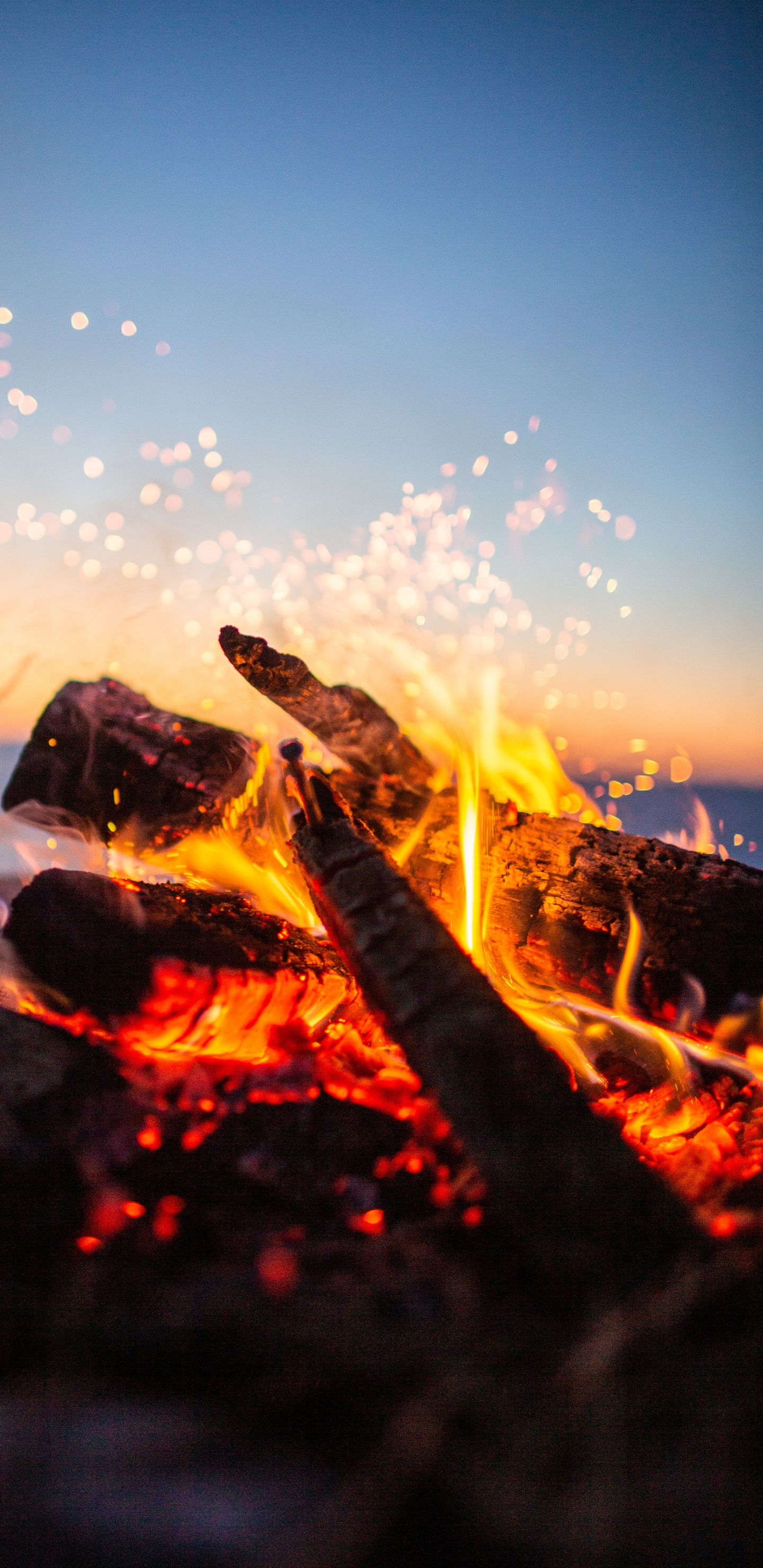 Feu Sur Bûche de Bois Brun Pendant la Nuit. Wallpaper in 1440x2960 Resolution
