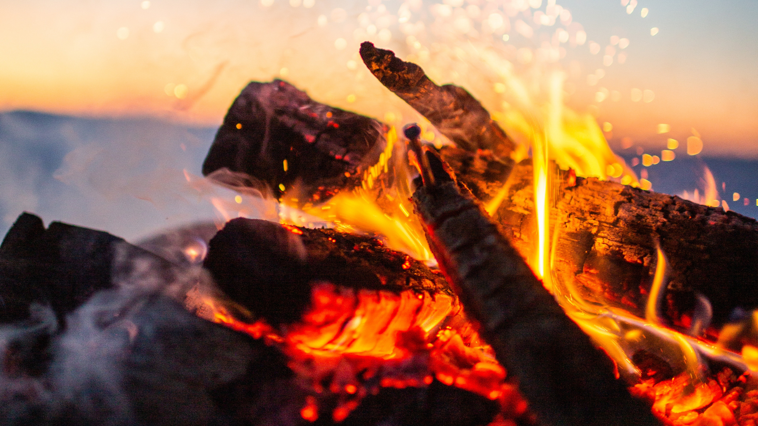 Feu Sur Bûche de Bois Brun Pendant la Nuit. Wallpaper in 2560x1440 Resolution