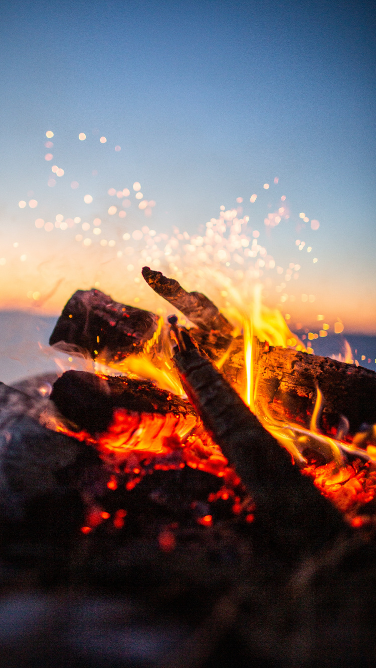 Feuer Auf Braunem Holzscheit Während Der Nacht. Wallpaper in 750x1334 Resolution