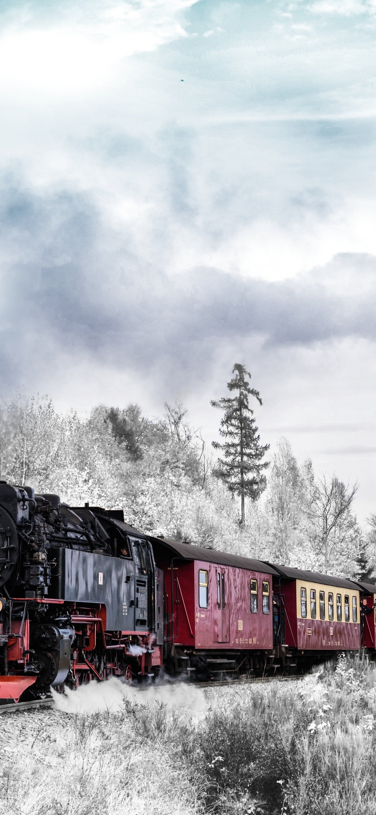 Train D'hiver, Train, le Transport Ferroviaire, de la Gare, Hiver. Wallpaper in 1242x2688 Resolution