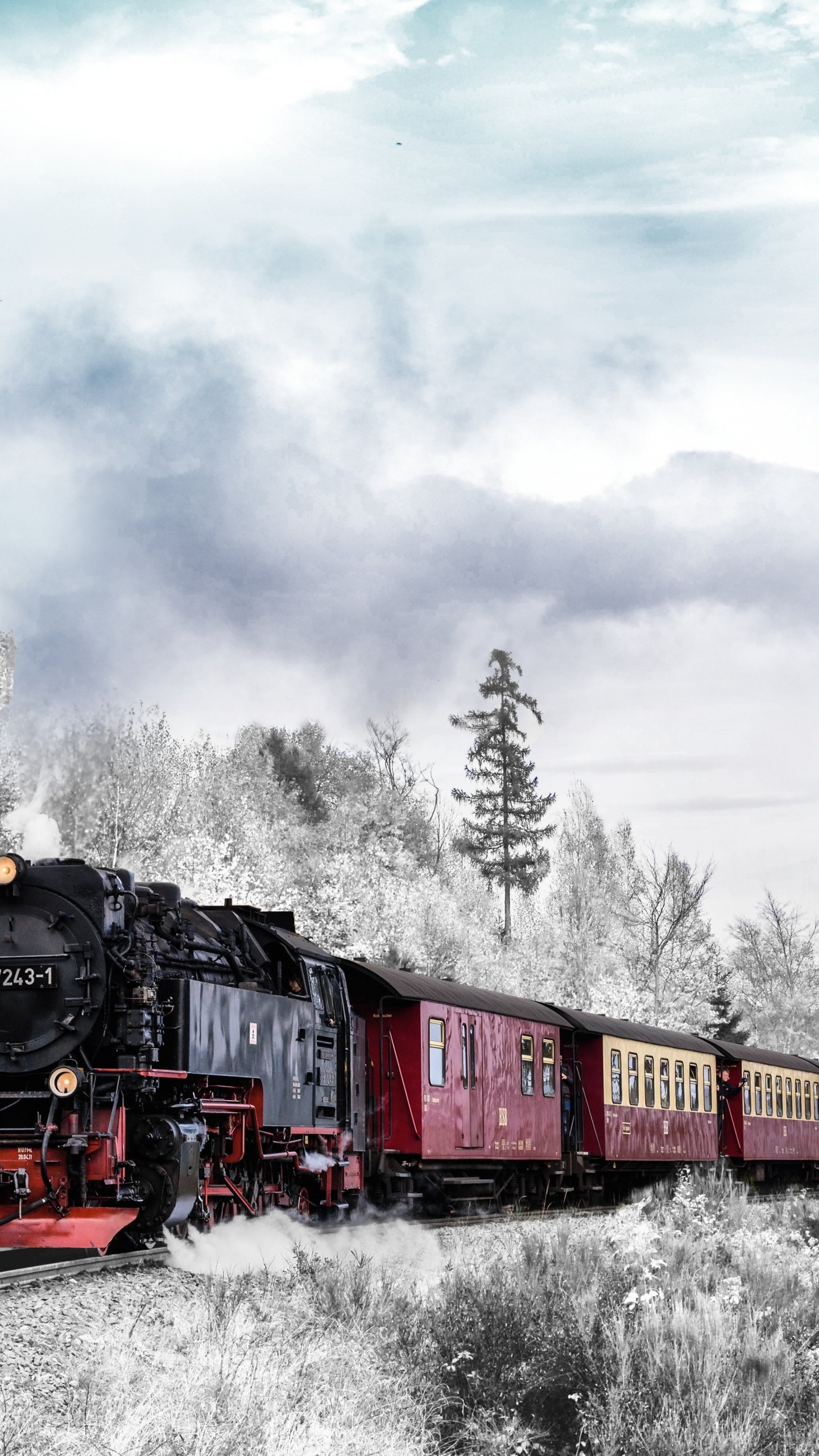 Train D'hiver, Train, le Transport Ferroviaire, de la Gare, Hiver. Wallpaper in 1440x2560 Resolution