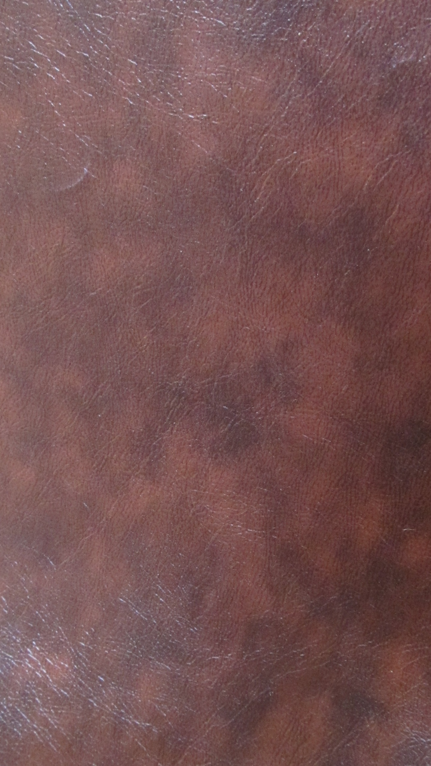 Brown and White Abstract Painting. Wallpaper in 1440x2560 Resolution