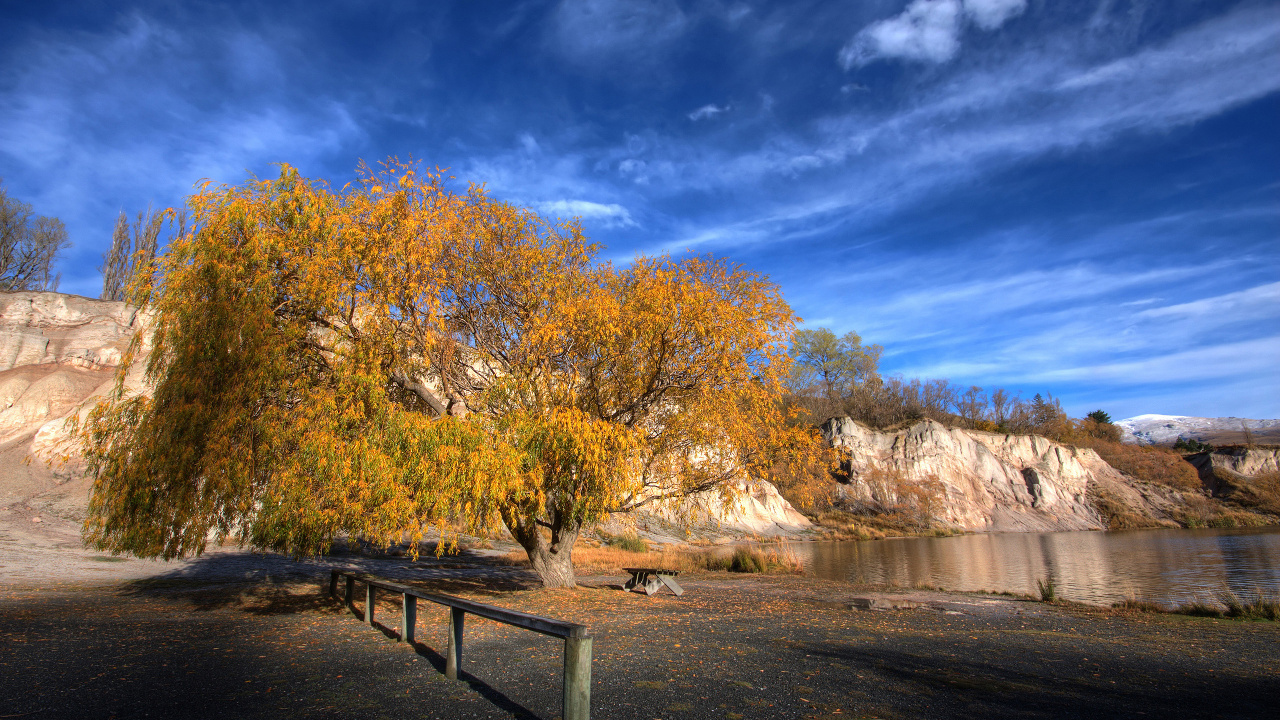 Brown Trees Beside River Under Blue Sky During Daytime. Wallpaper in 1280x720 Resolution