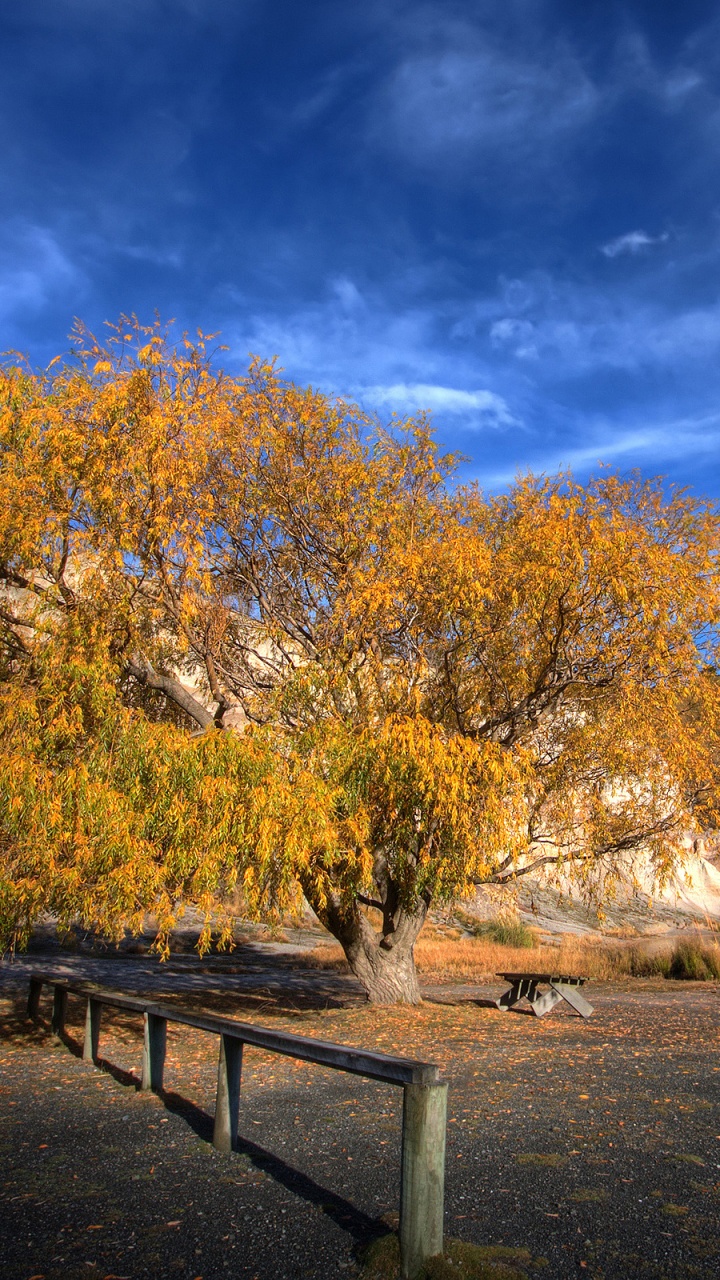 Brown Trees Beside River Under Blue Sky During Daytime. Wallpaper in 720x1280 Resolution