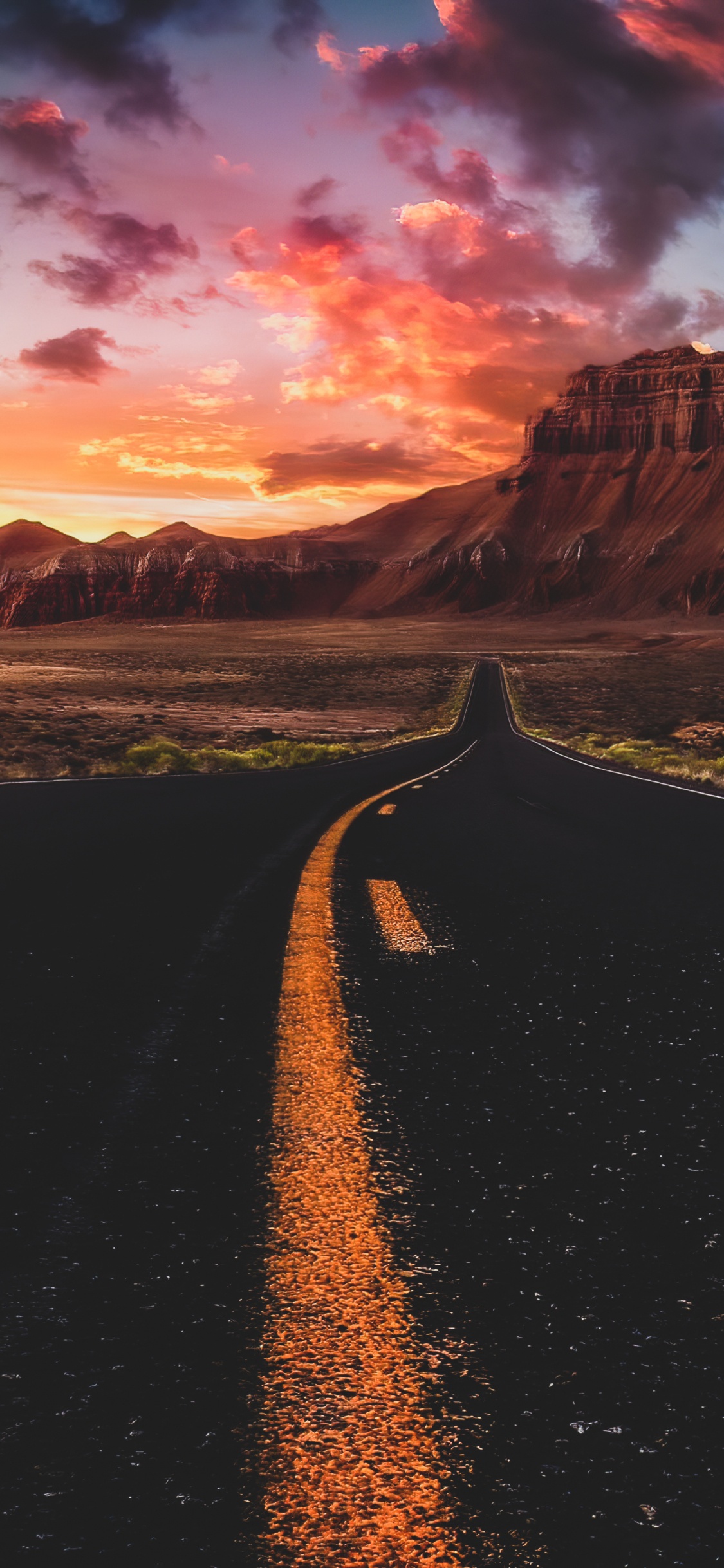 生态区, 自然景观, 基础设施, 性质, 沥青 壁纸 1125x2436 允许