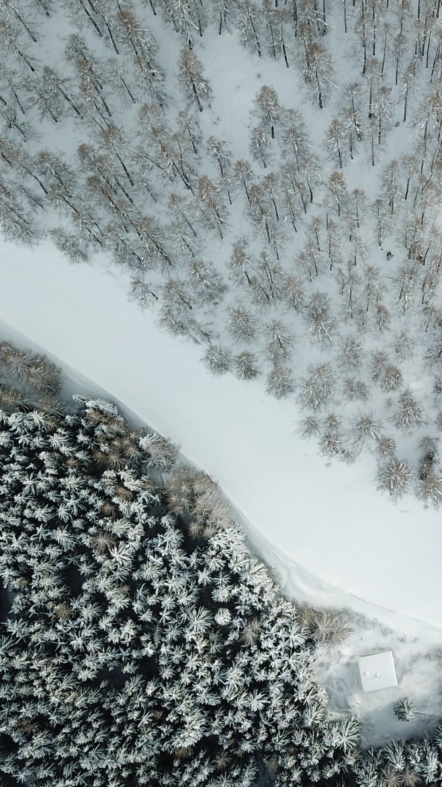 冬天, 水资源, 自然景观, 水道, 冻结 壁纸 1440x2560 允许