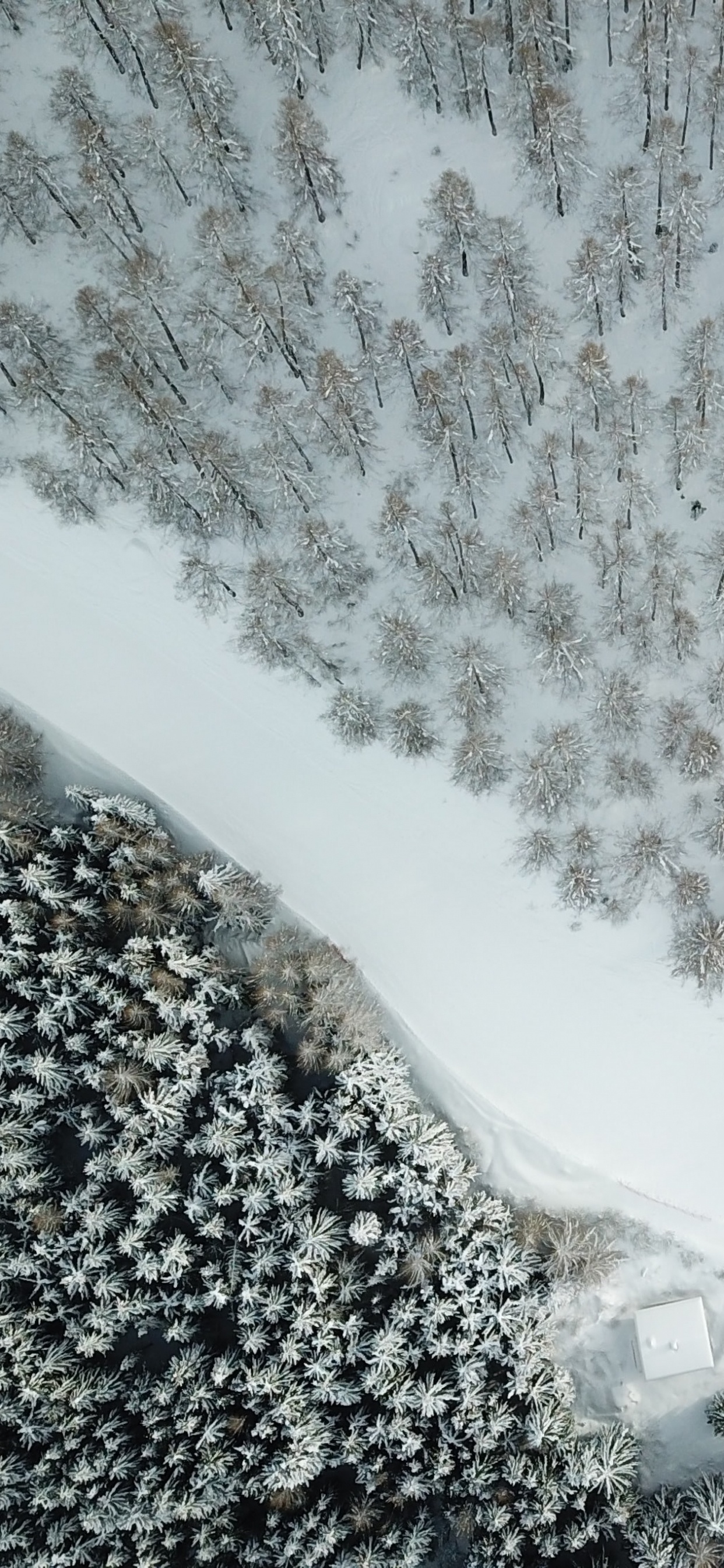 Snow, Winter, Water, Water Resources, Natural Landscape. Wallpaper in 1242x2688 Resolution