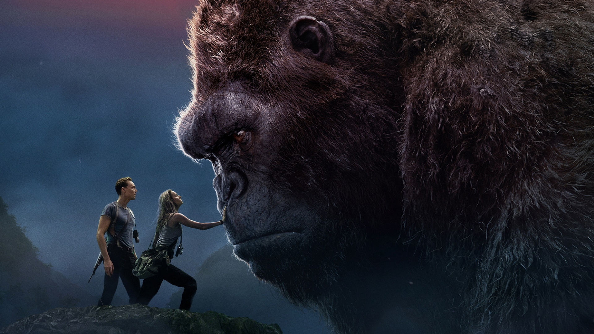 Brown Gorilla Holding Green Frog. Wallpaper in 1920x1080 Resolution