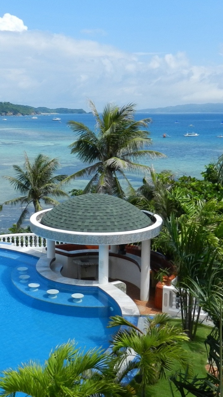 Piscina Blanca y Azul Cerca de Palmeras Verdes Durante el Día. Wallpaper in 720x1280 Resolution
