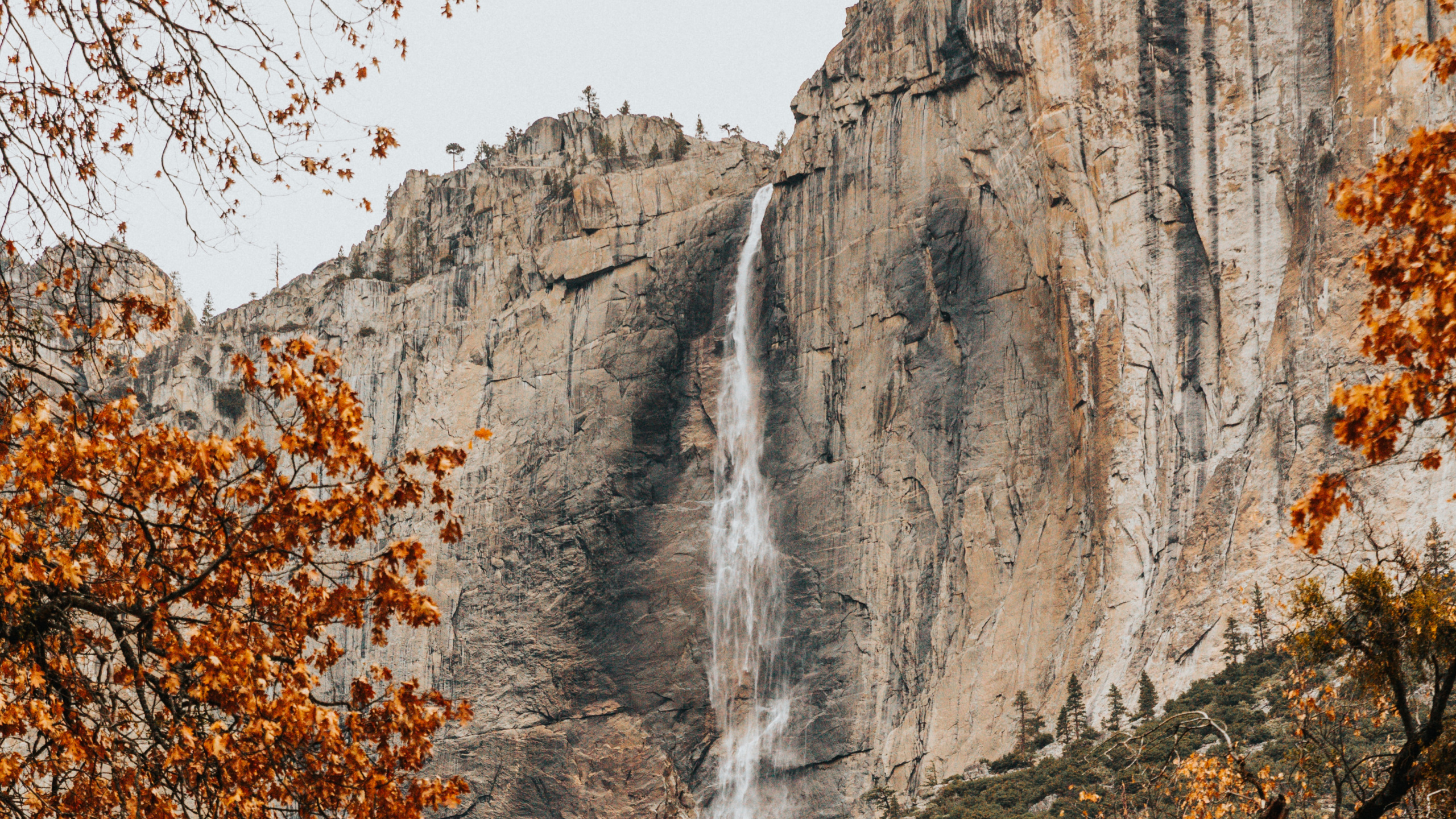 Waterfall, Cliff, National Park, Nature, Natural Landscape. Wallpaper in 2560x1440 Resolution