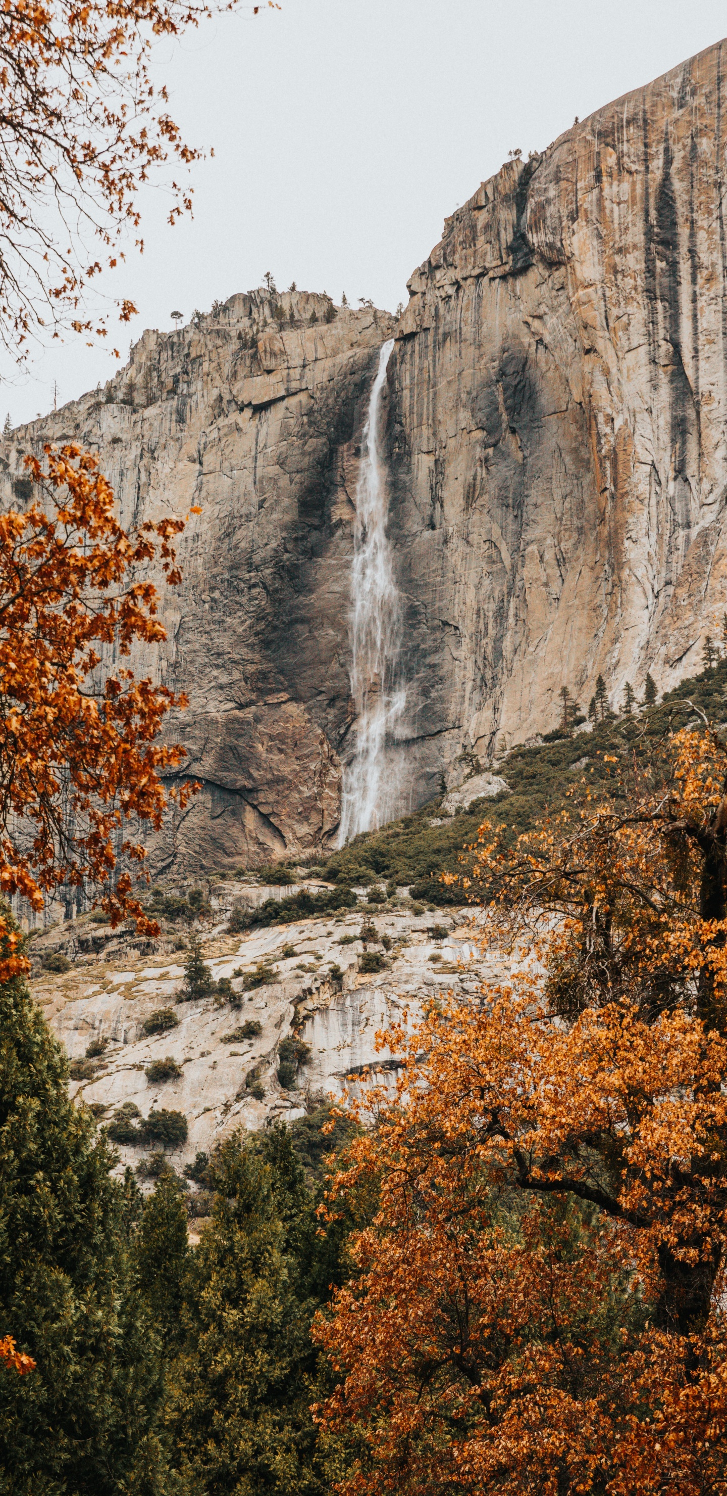 Wasserfall, Nationalpark, Natur, Naturlandschaft, Blatt. Wallpaper in 1440x2960 Resolution