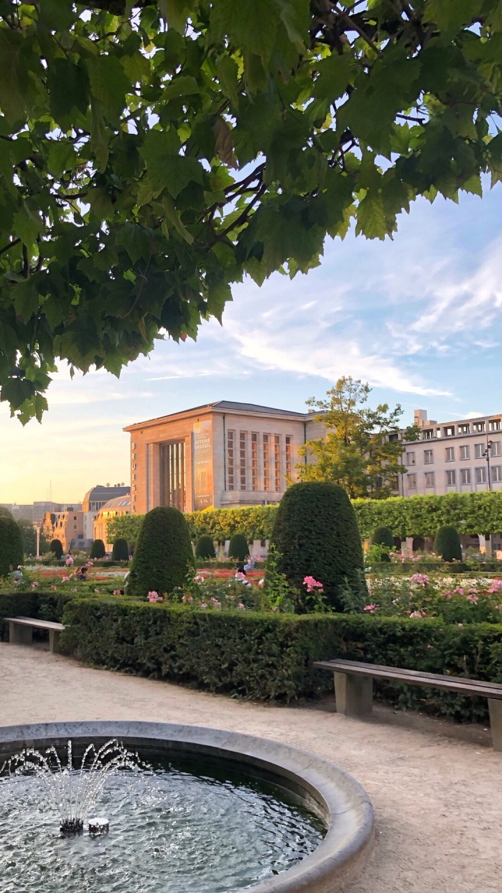 Water, Garden, Real Estate, Leaf, Water Feature. Wallpaper in 720x1280 Resolution